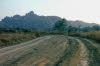 Bushroad